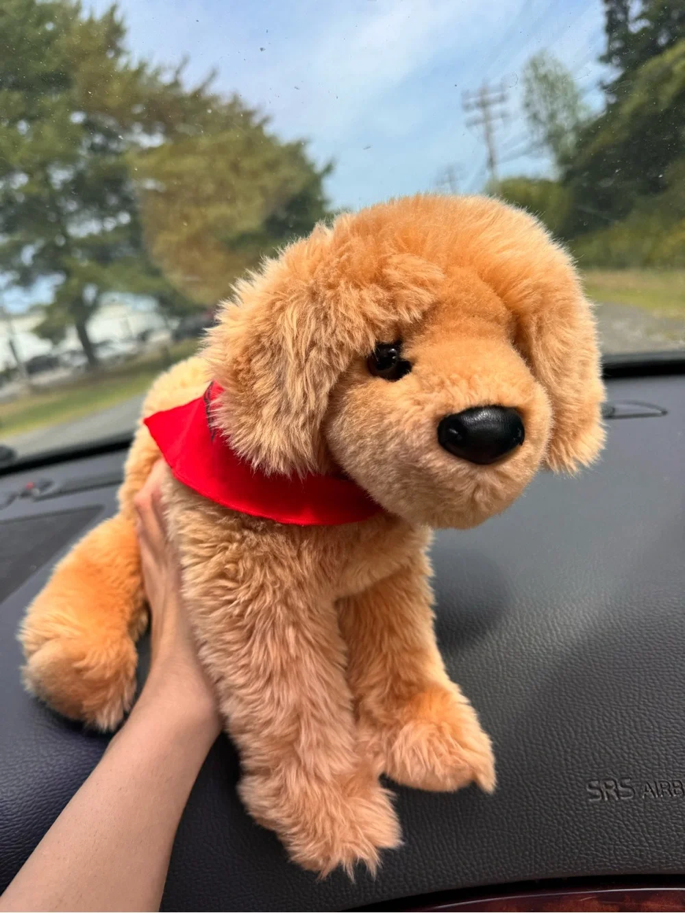 L.L.Bean X Douglas Golden retriever dog with Red LL bean Bandana